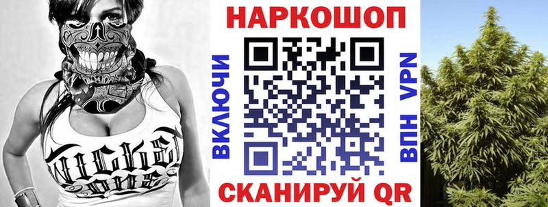 Где купить наркоту Гусев Марихуана  ГЕРОИН  Псилоцибиновые грибы  ГАШ  APVP 