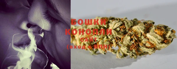 spice Володарск