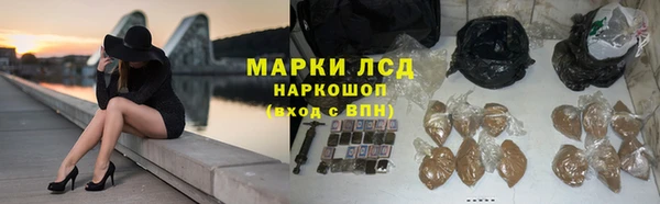 эйфоретик Вяземский